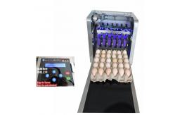 China Digital Egg Batch Coding Machine / Inkjet Coding Machine For Effective Date supplier
