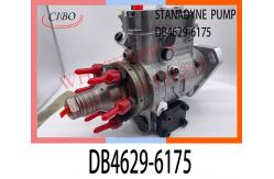 China DB4629-6175 STANADYNE DIESEL FUEL ENGINE FUEL PUMP DB44727-6120 T832210060 supplier