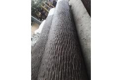 China Hot Dip Galvanized Pine Tree Pole Tower With Bracket And Etc Accessories supplier