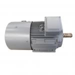 300kw 30rpm 420V IP68 Permanent Magnet Alternator Rare Earth NdFeB Material for sale