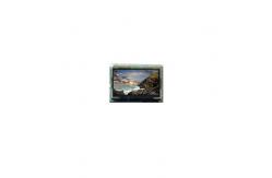 China PV140FH0-M00 14.0 inch 1920*1080 LCD Display Screen Panel supplier
