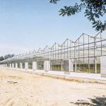 Advanced Glass Greenhouse For Optimal Light Transmission And Heat Preservation
