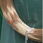 Becu C17500 Beryllium Copper Alloy 10 Wires ASTM B441 for sale