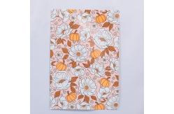 China Custom Poly Mailer Bags - 6x9in to 12x15in Sizes, Eco-Friendly supplier