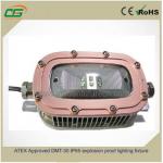 IP65 Warm White 30W LED Explosion Proof Light ATEX 3000K , Explosion Proof Lighting Fixture for sale
