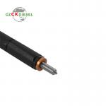 Diesel Fuel Injector A6650170121 EJBR02601Z for Delphi Engine