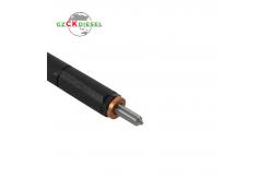China Diesel Fuel Injector A6650170121 EJBR02601Z for Delphi Engine supplier