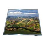 17.0 Inch 1280*1024 TFT LCD Panel Display Monitors HSD170ME13-A for sale