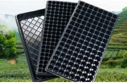 China Black Rectangular Plastic Germination Trays Seed Nursery Trays 200 Cells supplier