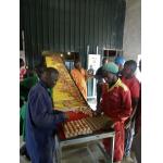 Poultry Field Chicken Farming Equipment 54 Birds A Type Layer Cage for sale