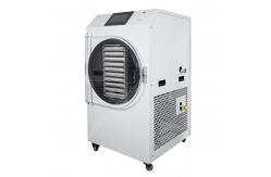 China Freeze dryer/food freeze dryer machine /freeze dryer for candy supplier