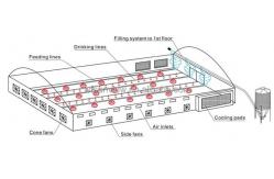 China 150kg Poultry Feed Line Automatic Broiler Feeding System supplier