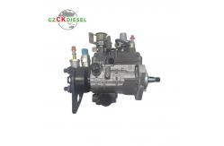 China Diesel Fuel Injection Pump 9320A197G 9320A196G 9320A195G for DP210 DP310 Engine supplier