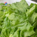 Stepless Shift Water Current Motivity Fruit And Vegetable Washing Machine Impurities Separation
