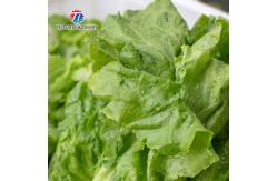 China Stepless Shift Water Current Motivity Fruit And Vegetable Washing Machine Impurities Separation supplier