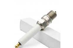 China 12453572 NGK Prechamber Spark Plug For MWM TCG2020 Gas Engine supplier