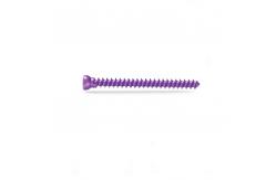 China Titanium Alloy Anodizing Orthopedic Locking Plate Cannulated Compression Screw supplier