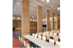 China Flexible Activity Soundproofing Folding Partition Walls For Training Center supplier