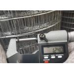 5/8'' Mesh Size Electric Galvanized Welded Wire Mesh with Galvanized Before Welding for sale