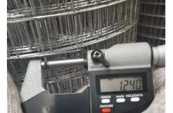 China 15m-30m Galvanized Iron Wire Mesh Durable And Corrosion Resistant supplier