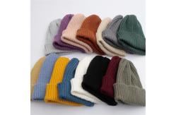 China Custom 7-15 Days Embroidery/Blank Beanie Hat supplier