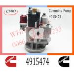 Diesel Engine Parts Fuel Injection Pump 4915474 3655654 4009414 For Cummins KTA19 for sale