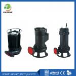 Powerful Cutting Sewer Pump for Heavy-Duty Sewage and Sludge Handling for sale