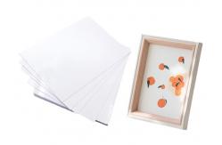 China Instant Dry RC Glossy Minilab Photo Paper Roll For Fuji DX100 Epson supplier