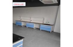 China Standard Chemistry Lab Bench with Number of Shelves As Drawing supplier