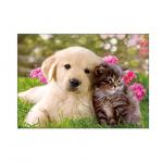 Lovely Cats And Dogs 3D Lenticular Pictures Printing Customized Size