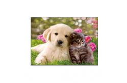 China Lovely Cats And Dogs 3D Lenticular Pictures Printing Customized Size supplier