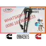 Fuel Injector Assembly F00BJ00000 2881088 0986435900 Y431K05392 0986435615 For Qsk19 Engine for sale