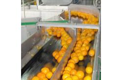 China 3 In1 Automatic Citrus Fruit Juice Processing Machine supplier