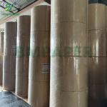 38gsm Colour Printed Greaseproof Paper For Wrapping Kebabs EU Food Standard for sale