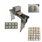 Automatic Egg Code Printing Machine , Small Character Inkjet Coder For Eggs for sale
