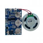 MP3 IC PCB Recordable Sound Module Real time For Greeting Cards Gift for sale