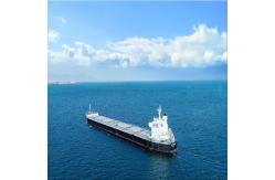China A Class International Sea Freight Forwarding DDP From China To Mexico supplier