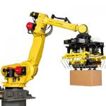 Fanuc Industrial Robot R-2000iC/125L Robotic Manipulator Palletizer