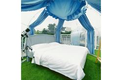 China Custom Size 6m Geodesic Dome Security Assurance Bubble Dome Igloo Tent supplier