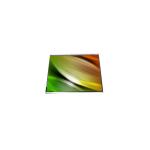 5.3 inch HSD053B8W1-B00 TFT LCD Module for Mobile Phone for sale