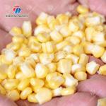 Sweet Glutinous Commercial Corn Peeling Machine 500Kg / Hour Automatic