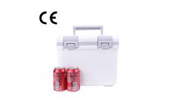 China Temperature Control Ice Cooler Boxes Delivery Portable Freezer Box supplier