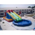 Customized Inflatable Hippo Slide for sale