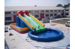 China Customized Inflatable Hippo Slide supplier