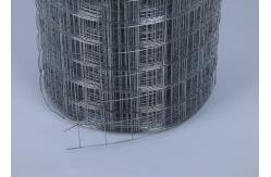 China Smooth Surface Silver Electro Galvanized Welded Wire Mesh Rolls 10-15g Zinc Coating supplier