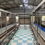 Digital Electric Meter Sheep Goat Milking Parlour New Condition Equipment for sale
