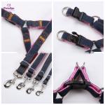 Dog Leash Puppy Collar And Leash Set 30m Retractable Dog Lead