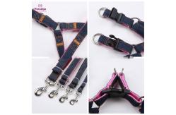 China Dog Leash Puppy Collar And Leash Set 30m Retractable Dog Lead supplier