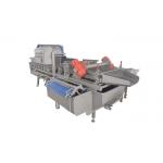 SUS304 1000KG/H Vortex Leafy Vegetable Washing Machine for sale