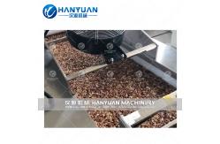 China Nuts Bar Machine supplier